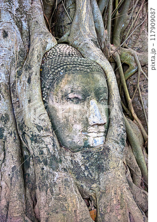 Buddha's head at Wat Maha That in Ayuthaya Buddha's head at Wat Maha That in Ayuthaya 117909087