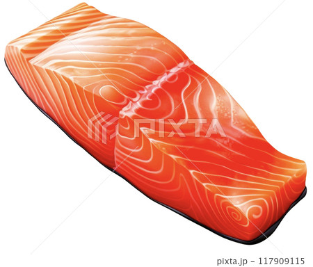 Salmon 117909115