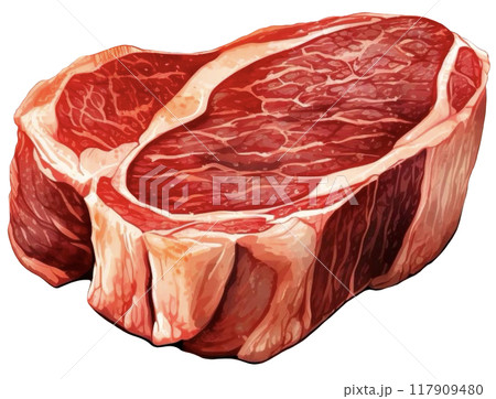 Steak 117909480