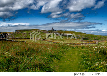 Seabird Nature Reserve Isle Of May In The Firth Of Forth In The Atlantic Ocean Near Anstruther In Scotland 117909596