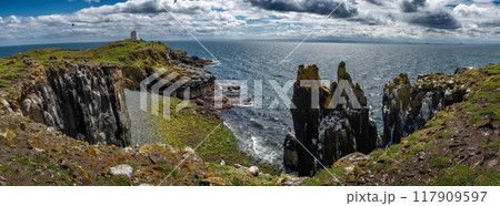 Coast At The Seabird Nature Reserve Isle Of May In The Firth Of Forth In The Atlantic Ocean Near Anstruther In Scotland Coast At The Seabird Nature Reserve Isle Of May In The Firth Of Forth In The Atlantic Ocean Near Anstruther In Scotland 117909597