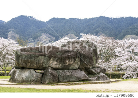 石舞台古墳と桜の風景　奈良県観光名所　国の特別史跡　春の明日香村の風景 117909680