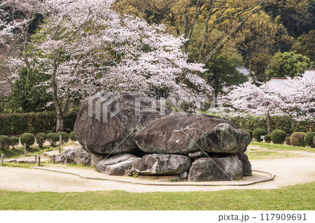 石舞台古墳と桜の風景 奈良県観光名所 国の特別史跡 春の明日香村の風景 石舞台古墳と桜の風景 奈良県観光名所 国の特別史跡 春の明日香村の風景 117909691