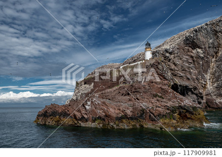 Bass Rock Island With Nesting Northern Gannets (Morus Bassanus) In The Atlantic Ocean Of Firth of Forth At North Berwick Near Edinburgh In Scotland 117909981