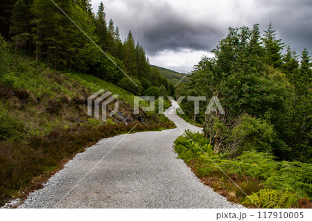 Hiking Path To The Otter Hide Observation Point In Kylerhea On The Isle Of Skye In Scotland, UK 117910005