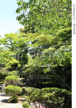 滋賀県大津市 圓満院門跡の日本庭園 滋賀県大津市 圓満院門跡の日本庭園 117910217