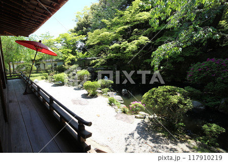 滋賀県大津市　圓満院門跡の日本庭園 117910219