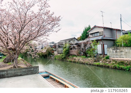 Pink sakura cherry blossom with house along river at Yanagawa 117910265