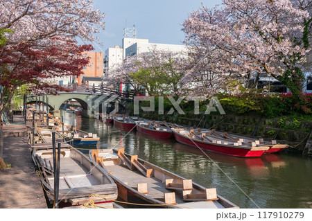 boats and cherry tree and red maple tunnel at Yanagawa river 117910279