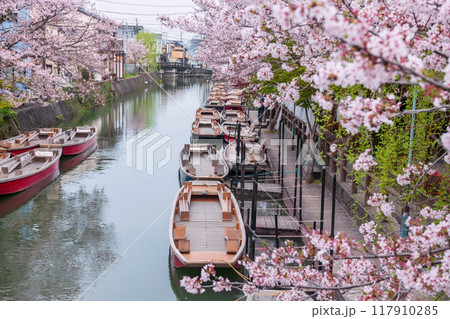 Aerial view of boats on Suigo river and cherry blossom, Yanagawa 117910285