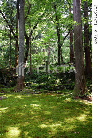 福井県　平泉寺白山神社・旧玄成院庭園 117910317