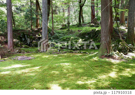 福井県 平泉寺白山神社・旧玄成院庭園 福井県 平泉寺白山神社・旧玄成院庭園 117910318