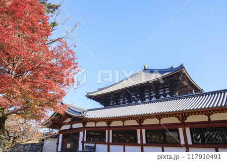 奈良県奈良市 秋の東大寺大仏殿と紅葉 奈良県奈良市 秋の東大寺大仏殿と紅葉 117910491