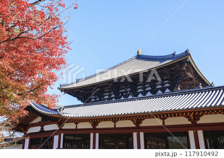 奈良県奈良市 秋の東大寺大仏殿と紅葉 奈良県奈良市 秋の東大寺大仏殿と紅葉 117910492