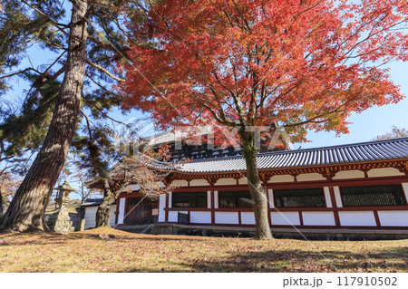奈良県奈良市　秋の東大寺大仏殿と紅葉 117910502