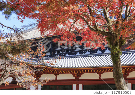 奈良県奈良市　秋の東大寺大仏殿と紅葉 117910505
