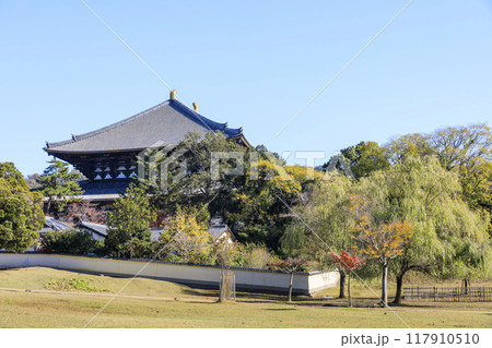 奈良県奈良市 秋の東大寺大仏殿と紅葉 奈良県奈良市 秋の東大寺大仏殿と紅葉 117910510