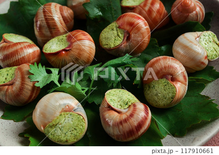 grape snails , stuffed in burgundy, french cuisine, 117910661