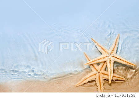 Starfishes on Sand. Two starfishes laying on sandy beach under clear shallow water with gentle waves. 117911259