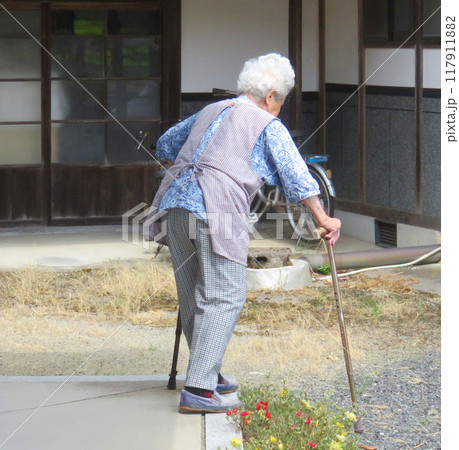 杖をついて歩く高齢女性 117911882