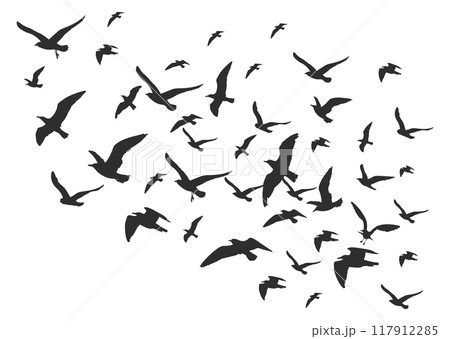 Bird flock black silhouettes. Flying animal group 117912285