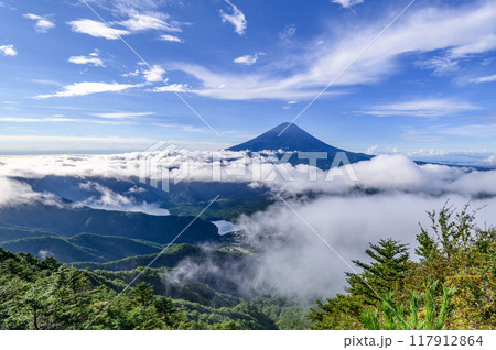 夏の富士山と大雲海（山梨県・王岳付近より） 117912864