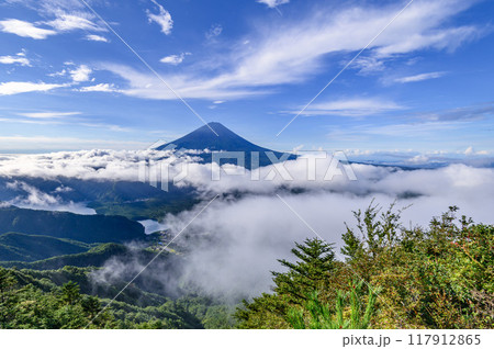 夏の富士山と大雲海(山梨県・王岳付近より) 夏の富士山と大雲海(山梨県・王岳付近より) 117912865
