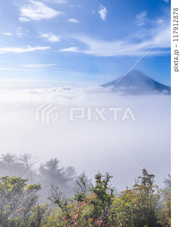 夏の富士山と大雲海（山梨県・王岳付近より） 117912878