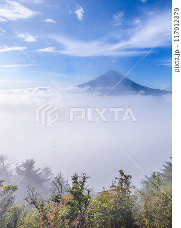 夏の富士山と大雲海（山梨県・王岳付近より） 117912879