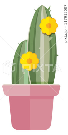 Cactus in flowerpot. Succulent plant. Home greenery icon 117913007
