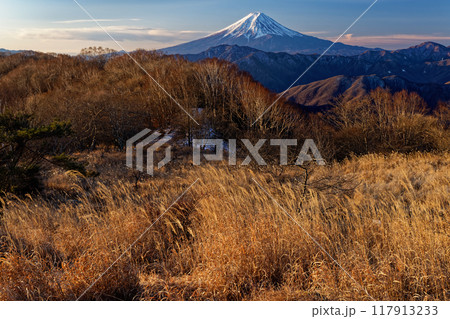 朝の南大菩薩・大蔵高丸の草原から見る富士山 朝の南大菩薩・大蔵高丸の草原から見る富士山 117913233