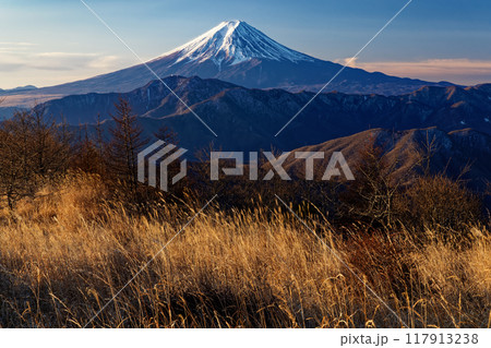朝の南大菩薩・大蔵高丸の草原から見る富士山 朝の南大菩薩・大蔵高丸の草原から見る富士山 117913238