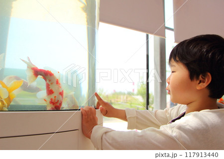 金魚と子供 117913440
