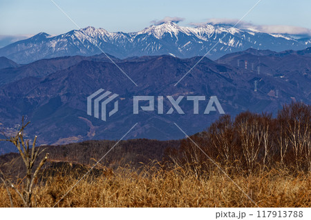 冬の南大菩薩・ハマイバ丸付近から見る八ヶ岳連峰 117913788