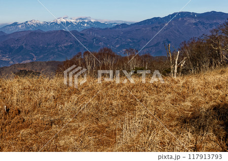 冬の南大菩薩・ハマイバ丸付近から見る八ヶ岳連峰と金峰山 冬の南大菩薩・ハマイバ丸付近から見る八ヶ岳連峰と金峰山 117913793