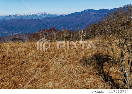 冬の南大菩薩・ハマイバ丸付近から見る八ヶ岳連峰と金峰山 冬の南大菩薩・ハマイバ丸付近から見る八ヶ岳連峰と金峰山 117913794