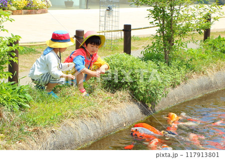 鯉にエサをあげる子供 117913801