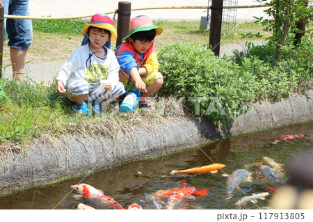 鯉にエサをあげる子供 鯉にエサをあげる子供 117913805