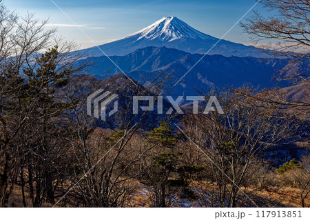 冬の南大菩薩・ハマイバ丸から見る富士山 117913851