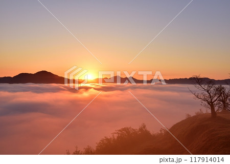 黒井城跡からの篠山盆地の丹波霧（雲海） 117914014