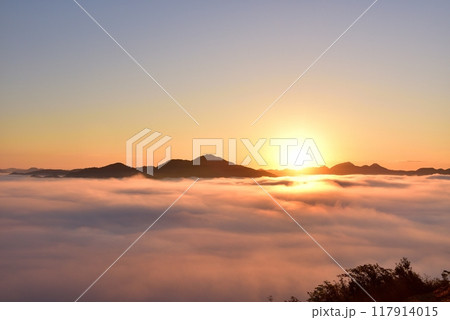 黒井城跡からの篠山盆地の丹波霧（雲海） 117914015