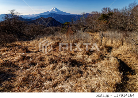 冬の南大菩薩・ハマイバ丸付近から見る富士山 冬の南大菩薩・ハマイバ丸付近から見る富士山 117914164