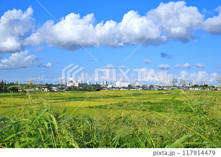 青い空と白い雲 都市と田圃 さいたま新都心方面 青い空と白い雲 都市と田圃 さいたま新都心方面 117914479