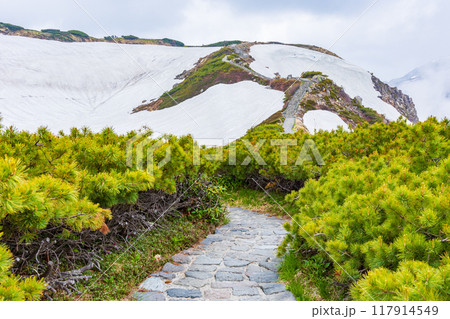 初夏の立山黒部アルペンルート　雪が残る室堂平 117914549