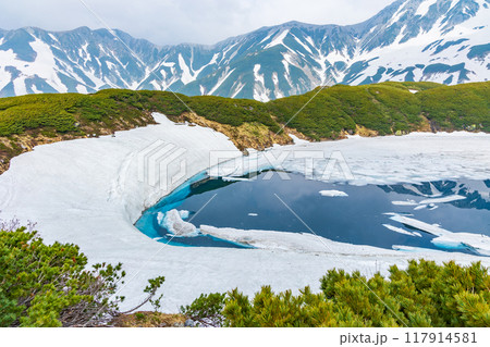 初夏の立山黒部アルペンルート　雪が残る室堂平　みくりが池 117914581