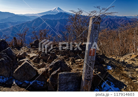 冬の滝子山から見る富士山 117914603