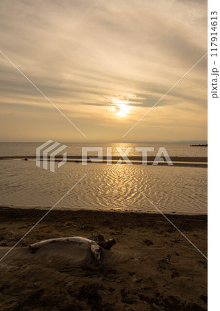 越後七浦シーサイドライン　潮溜まりのある浜の夕日　新潟県 117914613