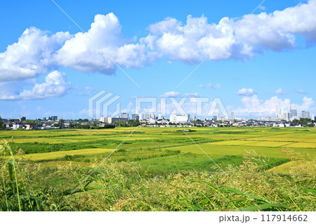 青い空と白い雲 都市と田圃 さいたま新都心方面 青い空と白い雲 都市と田圃 さいたま新都心方面 117914662