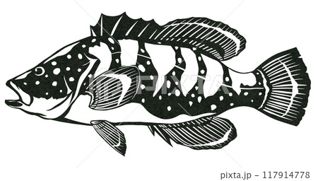 高級魚キジハタのシンプル白黒切り絵イラスト 高級魚キジハタのシンプル白黒切り絵イラスト 117914778