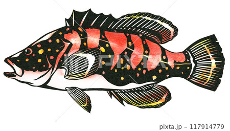 美味しい白身魚キジハタの切り絵イラスト 117914779